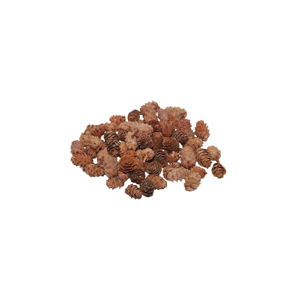PIGNE BABY SPRUCE 150GR. L.2